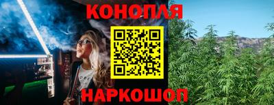 МДПВ Бийск