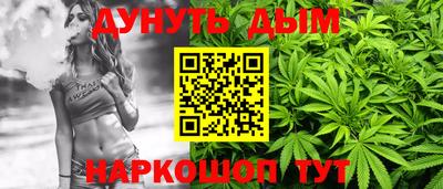 МДПВ Бийск