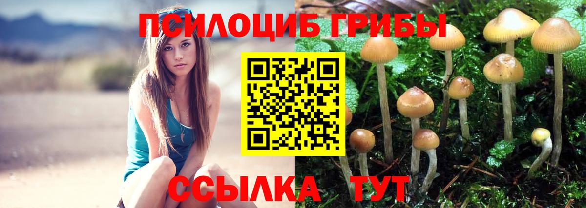 Псилоцибиновые грибы Psilocybine cubensis  Галлюциногенные грибы MAGIC MUSHROOMS  Кимовск  Вход с VPN 