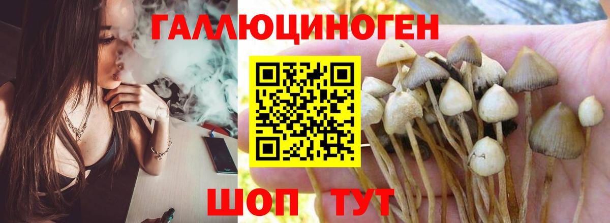 Галлюциногенные грибы Magic Shrooms Кимовск